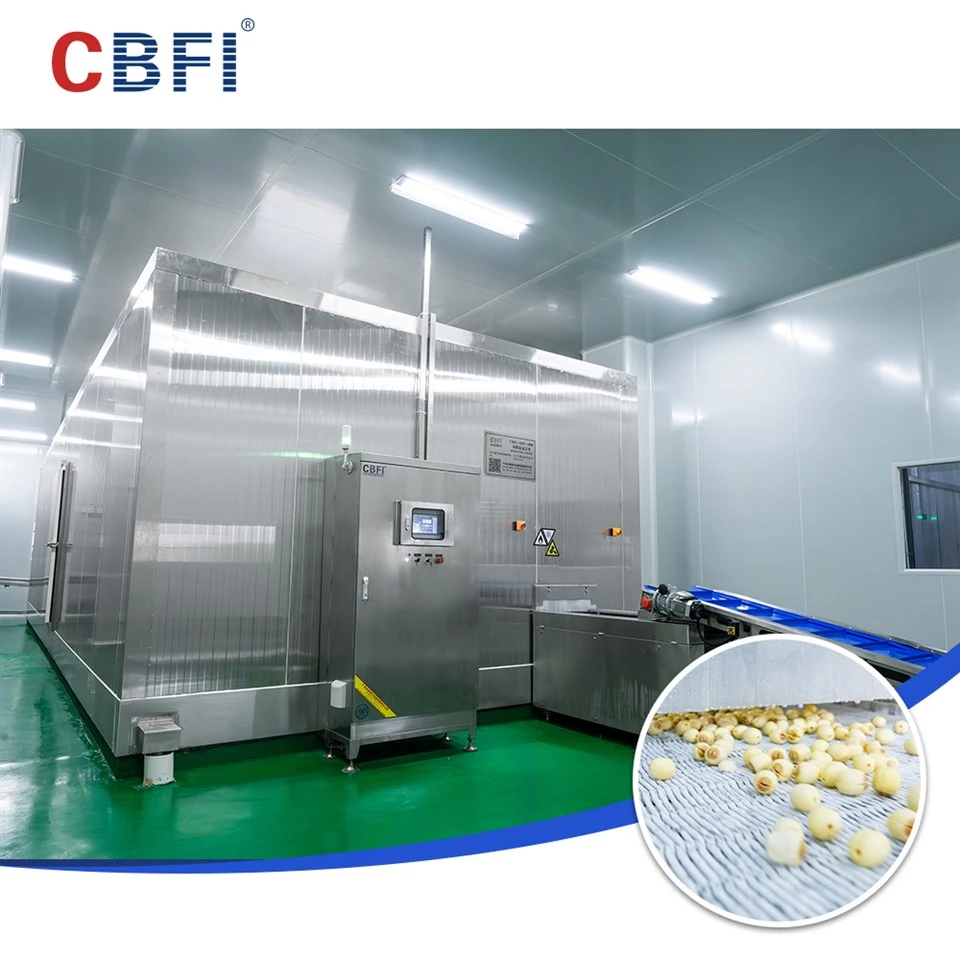 CBFI ডাবল স্পাইরাল ফ্রিজার, হিমায়িত খাদ্য উদ্যোগের জন্য উচ্চ-দক্ষতা বৃদ্ধির একটি নতুন অধ্যায় খুলছে